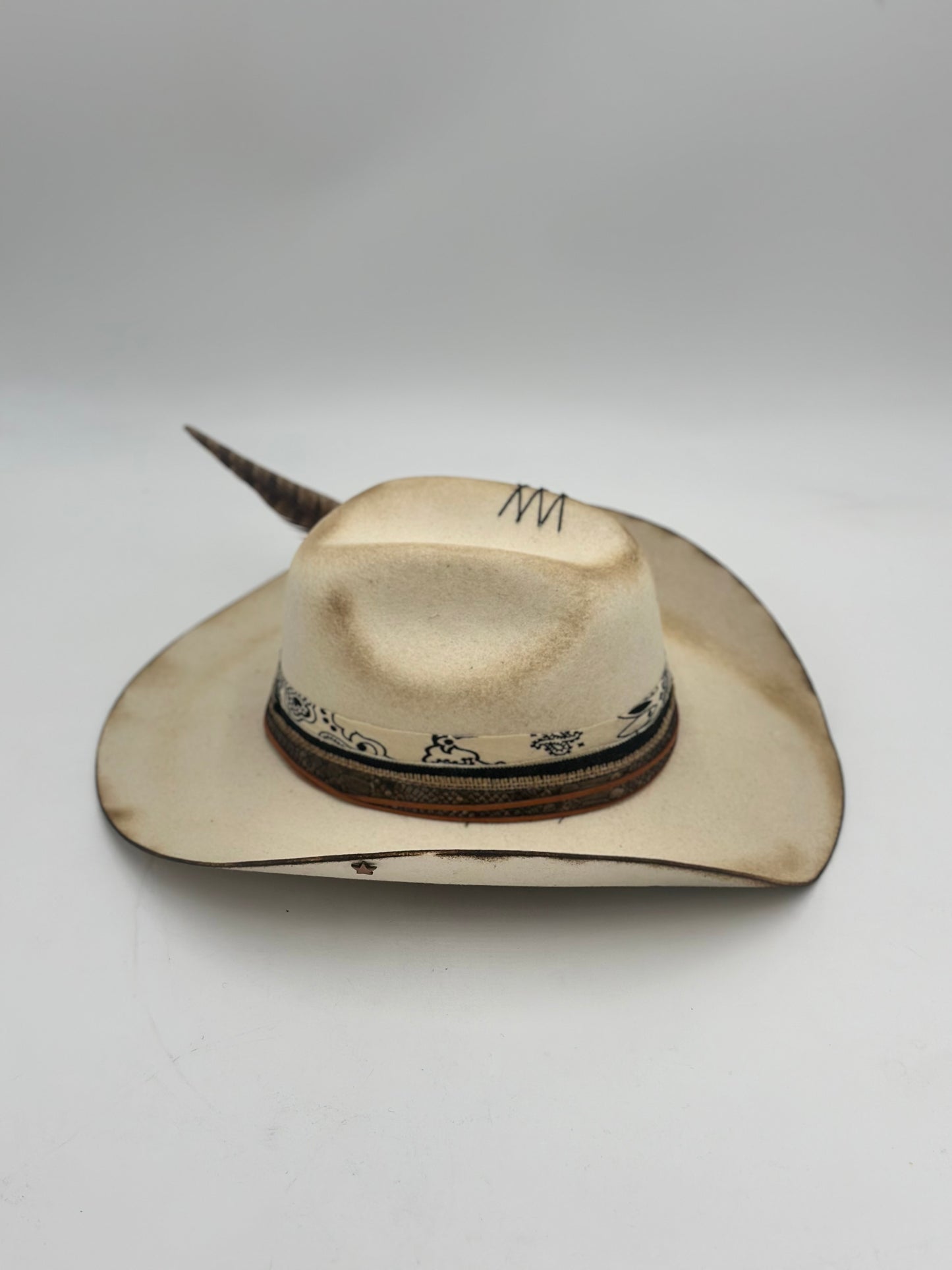Summer Texana