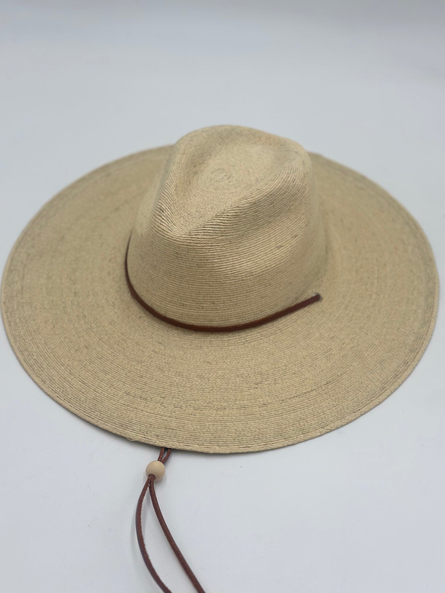 Explorer mexican palm