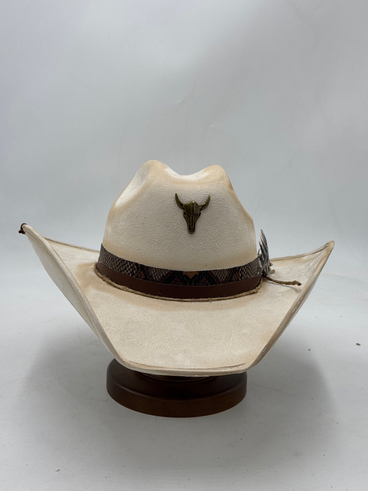 Bull skull