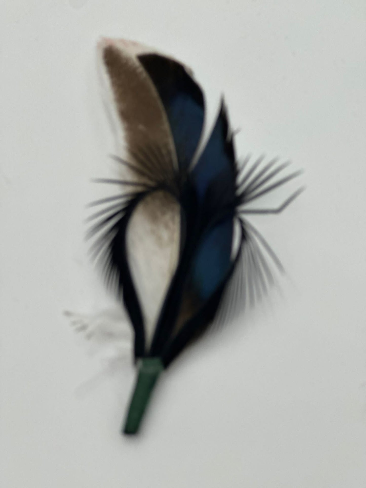 Feathers