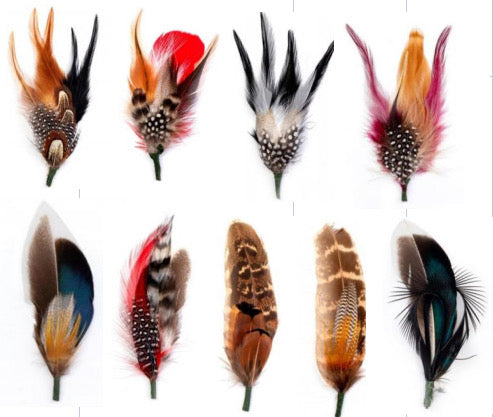 Feathers