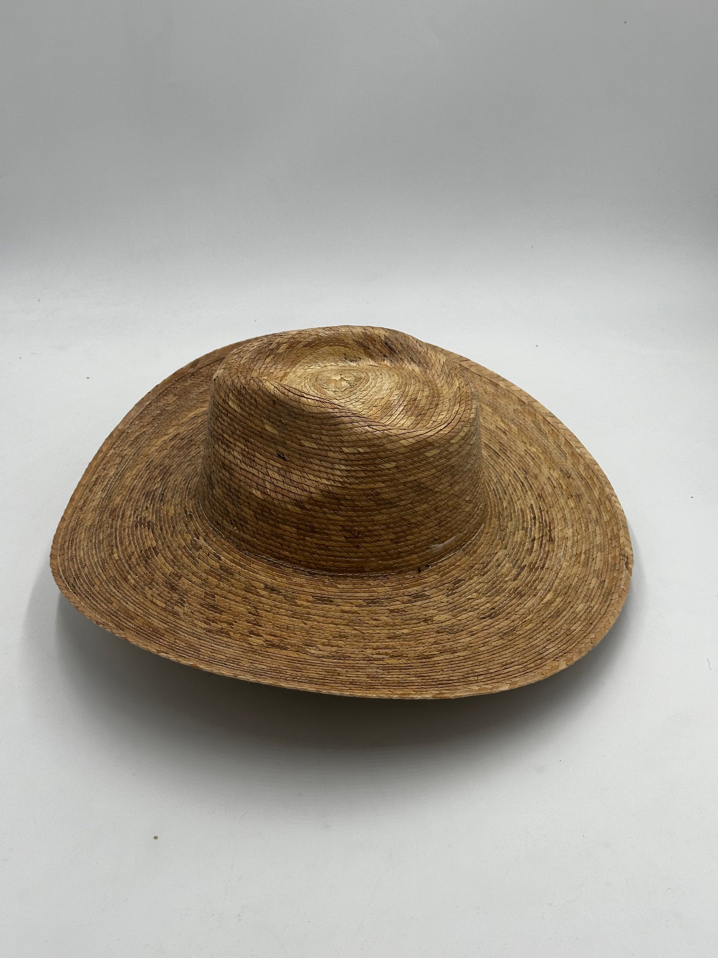 palm hat wide brim